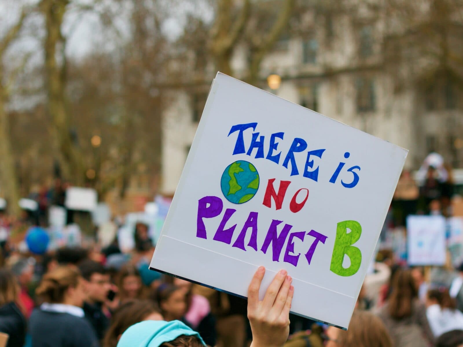 Bild från klimatdemonstration